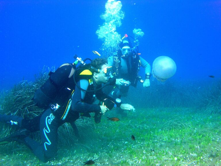 Diving Rimini Immersioni subacquee
